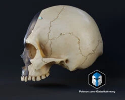 Infinite Oddball Skull - 3D Print Files -Galactic Armory Store 10002 4 d0fed885 2221 427e bda2 1490b78afa63