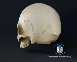Infinite Oddball Skull - 3D Print Files -Galactic Armory Store 10003 1 e23ba88c 02da 43a0 829c a0cdcef09640