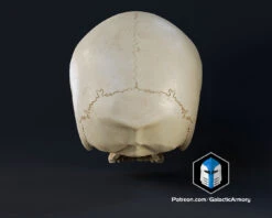 Infinite Oddball Skull - 3D Print Files -Galactic Armory Store 10004 1 4eacc37e 1fa6 426e 987b 65c70ec5249b