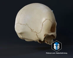 Infinite Oddball Skull - 3D Print Files -Galactic Armory Store 10005 1 1b14f1d7 f1c7 4993 8cd9 a908c1a662fc
