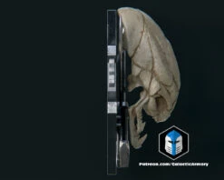 Legendary Logo Wall Mount - 3D Print Files 22 Legendary Logo Wall Mount - 3D Print Files -Galactic Armory Store 10006 5d0feba3 1802 4079 9b9c 9d8f6f9cf4e5