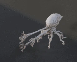 Flood Spore Figurines And Mold - 3D Print Files 24 Flood Spore Figurines And Mold - 3D Print Files -Galactic Armory Store Comp 314av1