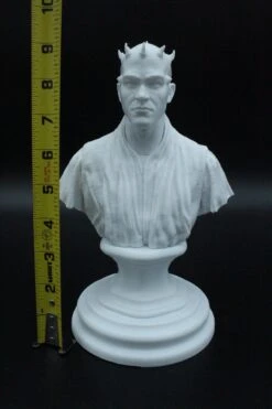 Darth Maul Bust - DIY -Galactic Armory Store IMG 2902